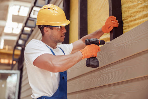 Best Brick Veneer Siding  in Fernley, NV